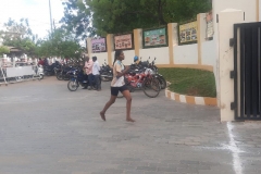 a31