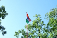 WhatsApp-Image-2024-08-16-at-7.29.35-AM-21