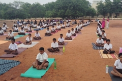 WhatsApp-Image-2024-06-21-at-6.54.16-AM-2