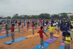 WhatsApp-Image-2024-06-21-at-7.01.26-AM