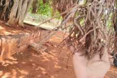 WhatsApp-Image-2024-09-26-at-12.53.12-AM