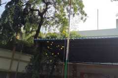 WhatsApp-Image-2025-01-26-at-1.19.07-PM-1