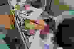 WhatsApp-Image-2024-09-28-at-9.52.09-AM