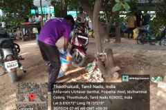 WhatsApp-Image-2024-11-01-at-4.03.15-PM_6_11zon