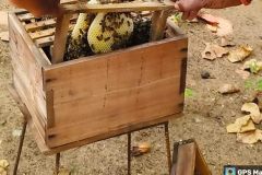 WhatsApp-Image-2026-03-23-at-14.27.53