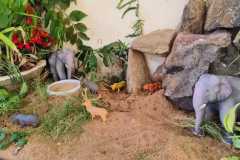 IMG-20250822-WA0075