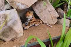 IMG-20250822-WA0076