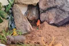 IMG-20250822-WA0080