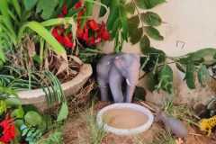 IMG-20250822-WA0084