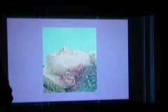 IMG-20250822-WA0121