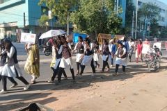 WhatsApp-Image-2026-03-28-at-08.28.34-1