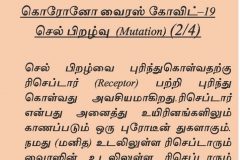 gep26