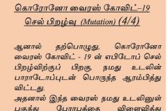 gep28