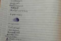 IMG-20250819-WA0036