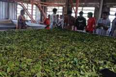 WhatsApp-Image-2026-02-18-at-10.50.12