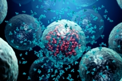 antibodies