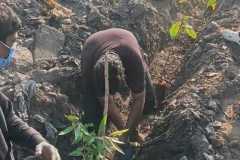 WhatsApp-Image-2026-03-11-at-11.07.49