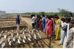 WhatsApp-Image-2026-02-27-at-21.15.28