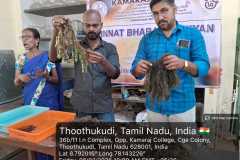 WhatsApp-Image-2026-02-09-at-07.29.42