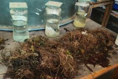 WhatsApp-Image-2026-02-09-at-07.30.11