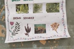 WhatsApp-Image-2026-02-19-at-11.13.09-2