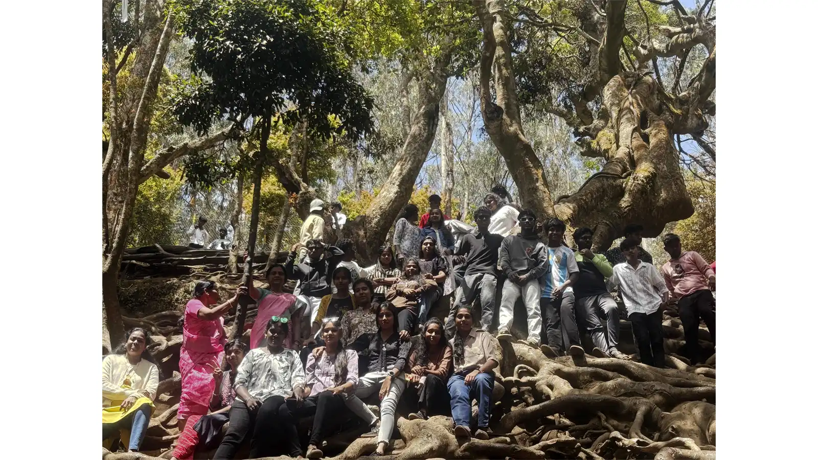Kodaikanal Tea Factory Visit