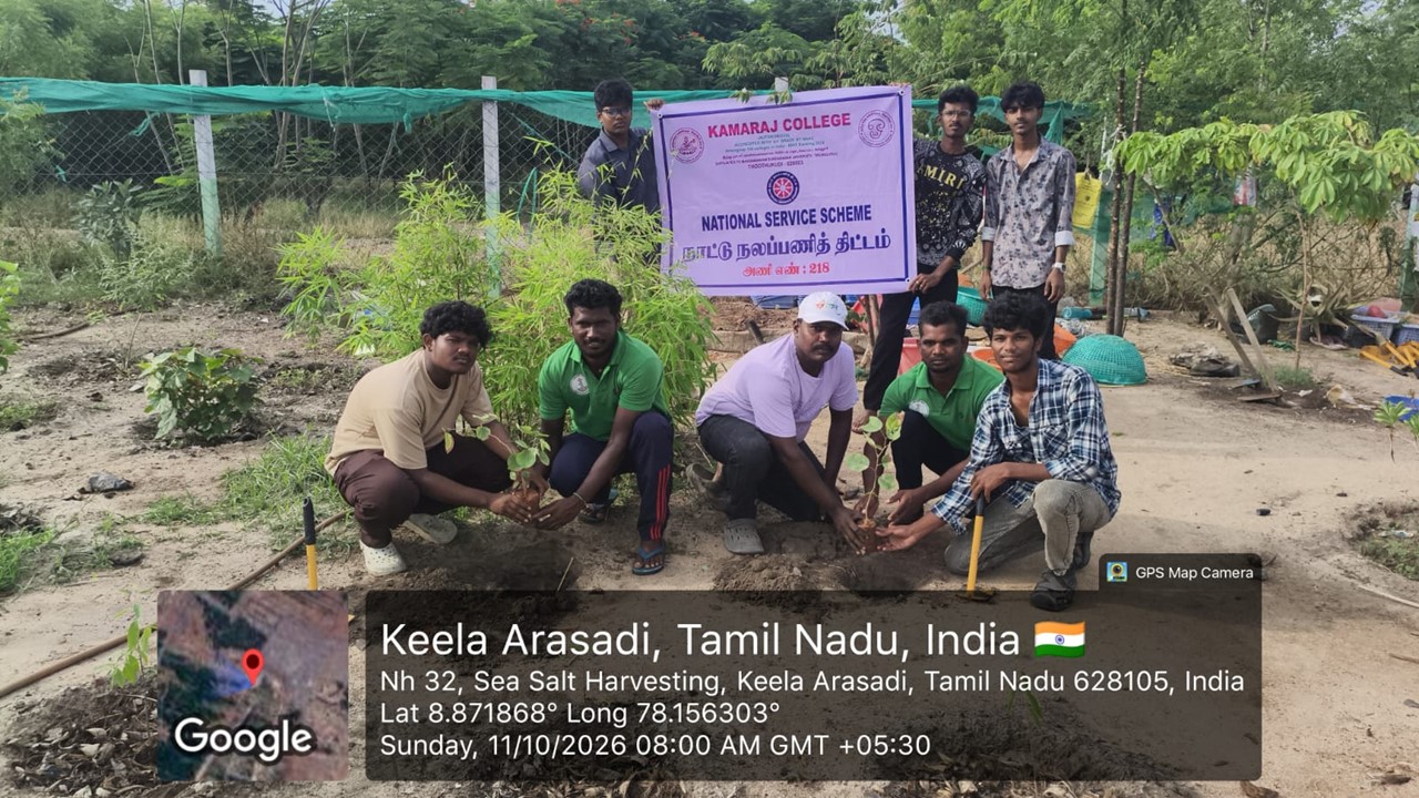 Palm Seed Sowing Campaign